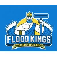 TN Flood Kings Logo
