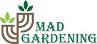Blue Summit Tree Removal Logo