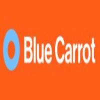 Blue Carrot | Digital Marketing Agency logo