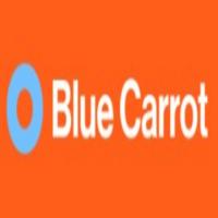 Blue Carrot | Digital Marketing Agency Logo
