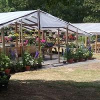 Buds & Butterflies Nursery & Garden Center Logo