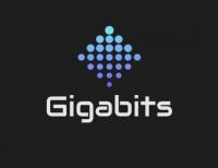 Gigabits Computer Repair & IT Solutions Logo
