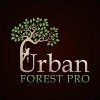 Urban Forest Pro Logo