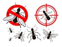 AMPM Exterminators Logo
