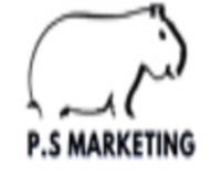 Paul Silva Marketing - Los Angeles SEO Logo