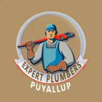 Expert Plumbers Puyallup logo