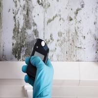 Pembroke Pines Mold Inspection Logo