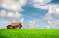Oldin Landscaping & Painting Logo