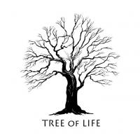 Life Matters Counseling & Therapy Logo