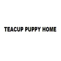 Teacup Puppy Home logo