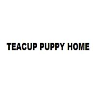 Teacup Puppy Home Logo