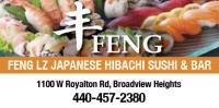 Feng LZ Logo