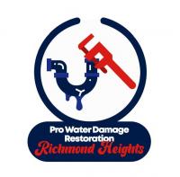 Pro Water Damage Restoration Richmond Logo