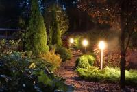 Wellington Landscape Lighting Pros Logo