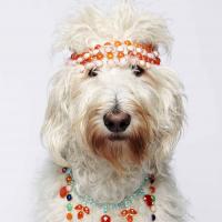 Irene Neuwirth Jewelry Logo