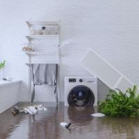 Water Damage Long Island Pros Logo