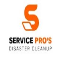 Water Damage Pros of Stephenville Logo