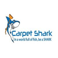 Carpet Shark Logo