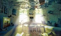 Diligent Water Damage Professionals Van Nuys Logo