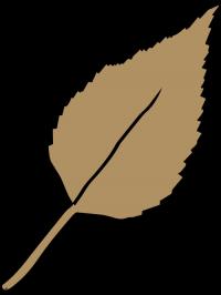 Birch Grove Legal Logo