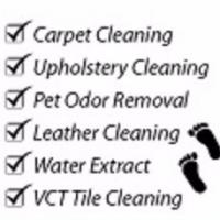 Freedom Green Clean Logo