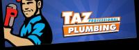 Taz Plumbing Logo
