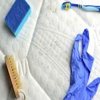 Mold Experts of Clarksville Logo