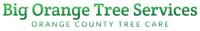Big Orange Tree Services Logo
