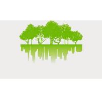 The City Arborist Logo