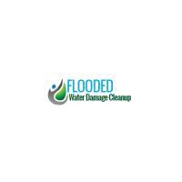 NY Basement Water Cleanup & Removal pros Flooded Logo