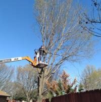 Integrity Outdoor Services, LLC Logo