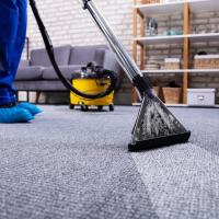 Blue Lion Carpet Cleaning Logo
