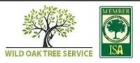 Austin Tree Services Logo