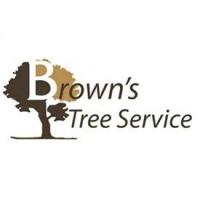 Arlington Tree Service Experts Logo