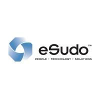 eSudo Technology Solutions Logo