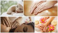 Sequoia Massage Logo