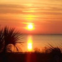 Old Saltworks Cabins & Sandy Shoes Logo