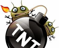TNT Termite & Pest Logo