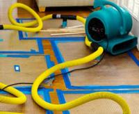 PRO Water Damage Gilbert Chandler Logo