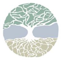 Sheperd Integrative Dermatology logo