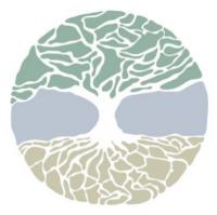 Sheperd Integrative Dermatology Logo
