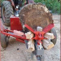 Danforth Tree Specialists Inc. Logo