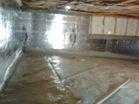 Dewpoint Waterproofing Logo