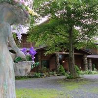 Carlton Gallery Logo