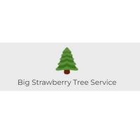 Big Strawberry Tree Service Logo