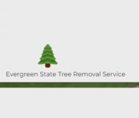 Evergreen State Tree Removal Service logo