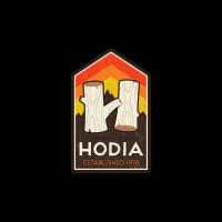 Idaho Diabetes Youth Programs Logo