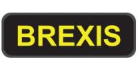 Brexis Houston Logo