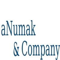 aNumak & Company logo