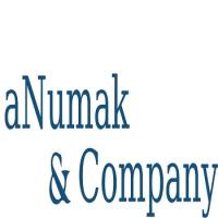 aNumak & Company Logo